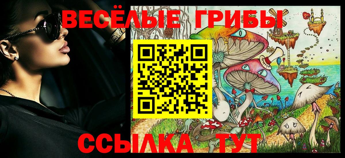 APVP Фролово