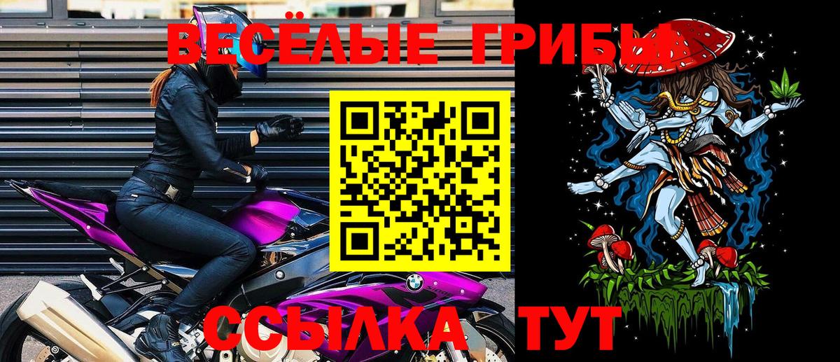 Фролово  Псилоцибиновые грибы Cubensis  Вход с VPN 