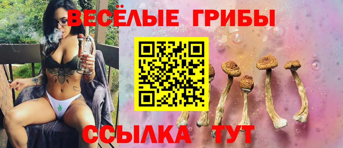 Лсд 25  Амфетамин   Вход с VPN  Каннабис  Меф МЯУ МЯУ   Фролово  Alpha-PVP СК   ГАШИШ  ГАШИШ 